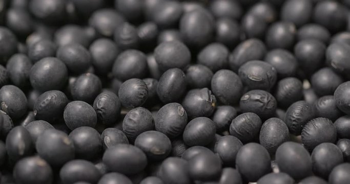 Heap of Black soy bean