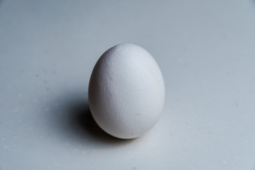 タマゴ
