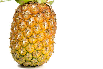 Pineapple fruit isolated on the white background.