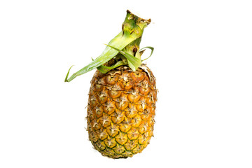 Pineapple fruit isolated on the white background.