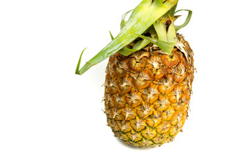 Pineapple fruit isolated on the white background.