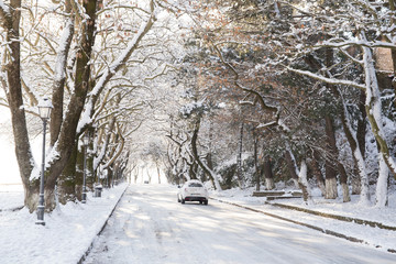 snow ice winter season trees road in Ioannina city Greece