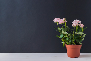 Home interior with decor elements