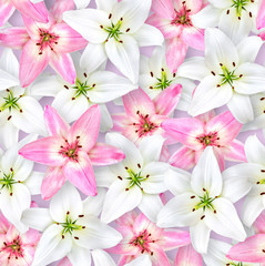 Seamless floral pattern. Chaotic arrangement of flowers. White and pink lily flower on a pale lilac background.