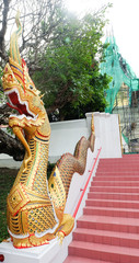 Fototapeta premium Amazing Thailand, Big serpant at the temple. 