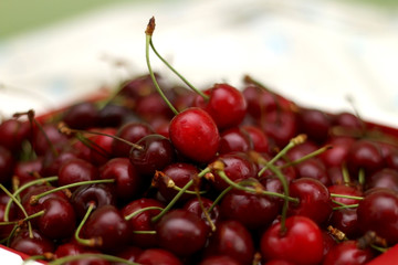 Bowl of fresh organic cherries on a bed. Selective focus.