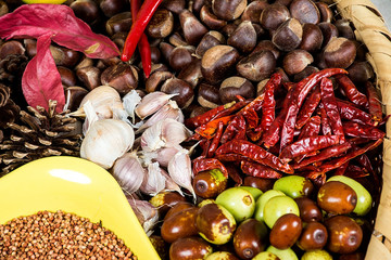 Autumn harvest of fruits and vegetables