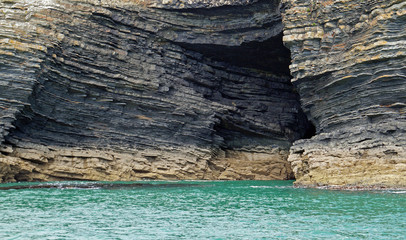 coast - Dolphin tour, Carrigaholt, co clare, ireland