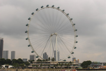 Fototapeta premium View of Singapore flyer, the largest ferris wheel in Singapore
