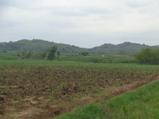 Beautiful Village In The Middle Of The Teak Forest