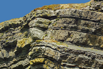 coast - Dolphin tour, Carrigaholt, co clare, ireland