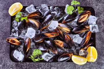 Delicious black mussels among the pieces of ice with sprigs of parsley and lemon on a dark background, top view