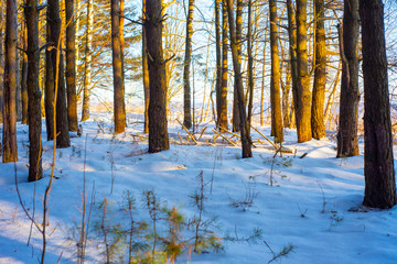 2018.Winter landscape of the Russian province.Sergiev Posad.