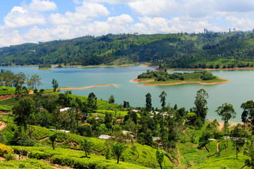 Naklejka na ściany i meble Sri Lanka Hill country landscape. Tea plantations and lake scenery. Nature scenery on bright, sunny day.