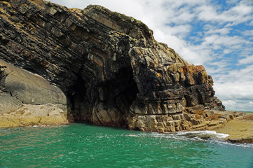 coast - Dolphin tour, Carrigaholt, co clare, ireland