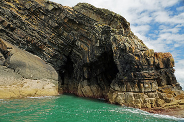 coast - Dolphin tour, Carrigaholt, co clare, ireland
