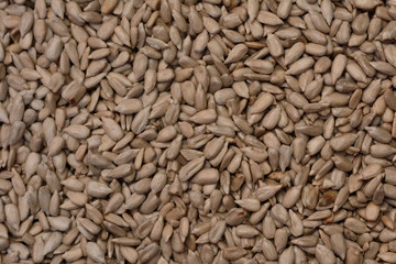 sunflower seeds scattered by an even layer a little fried texture