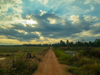 Obraz premium Morning sunset in deep blue sky over Rural way road