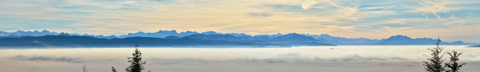 Panoramic view over the Swiss alps, from East To West Switzerland, from the Glarus Alps to the Bernese Alps, at sunset with an ocean of fog and fir trees.