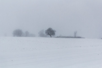 Fototapeta na wymiar Nebel auf einem Acker im Winter