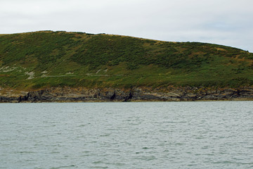 coast - Dolphin tour, Carrigaholt, co clare, ireland