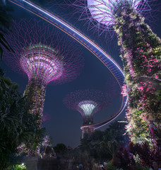 bay, singapore, gardens, garden, night, tree, city, architecture, travel, building, landmark, marina, beautiful, modern, sky, light, supertree, colorful, asia, view, park, tourism, urban