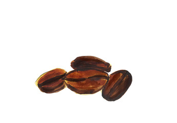 Watercolor hand drawn coffee beans. Isolated food illustration on white background.