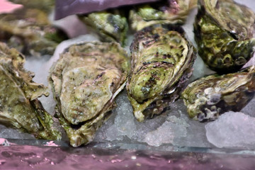 Fresh tasty seafood served on ice at the fish market. Front view. Close-up.