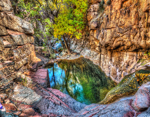 Pond with reflections in deep canyon, Arizona