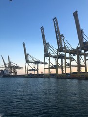 cranes in the port