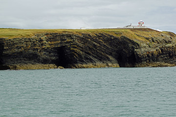 coast - Dolphin tour, Carrigaholt, co clare, ireland