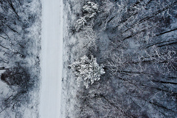top view of the winter forest road