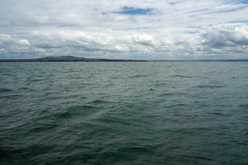 Dolphin tour, Carrigaholt, co clare, ireland