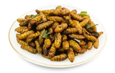 Dish of Deep Fried Coconut Worms on White Background