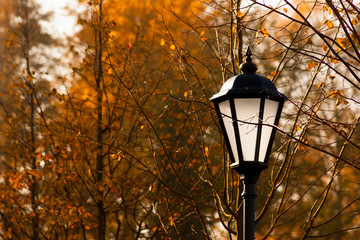Naklejka premium ancient lamp in the beautiful autumn park