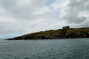 MacMahon Castle - Dolphin tour, Carrigaholt, co clare, ireland