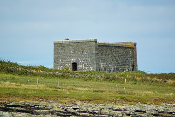 MacMahon Castle - Dolphin tour, Carrigaholt, co clare, ireland