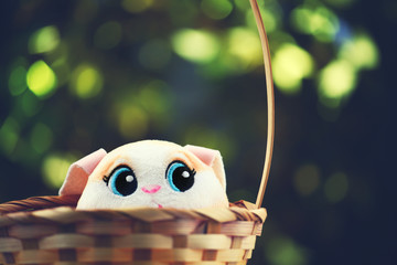 toy rabbit basket gold bokeh 