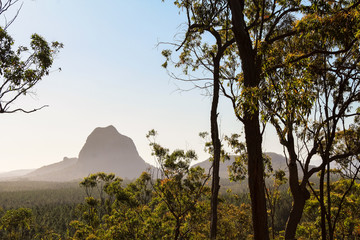 Close up of Glass House Mountains with trees and fog covering the picturesque mountains during daytime (Brisbane area, Queensland, Australia) - Powered by Adobe