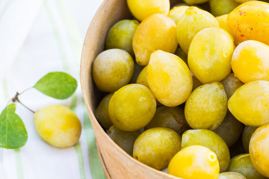 Yellow plums with water drops in a sieve, food and healthy eating concept