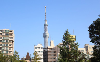 Obraz premium View of Tokyo Sky Tree (634m), the highest free-standing structure in Japan and 2nd in the world on November 06 , 2016 in Tokyo, Japan.