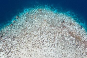 Aerial View of Coral Reef Drop Off in Remote Area of Raja Ampat