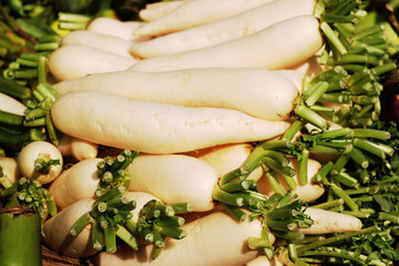Radish Vegetable