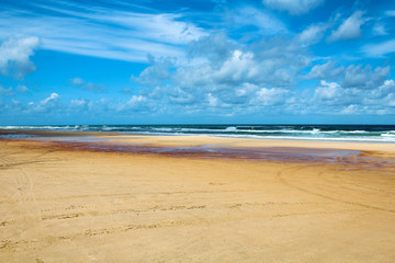 Empty and deserted Seventy-Five Mile Beach on Fraser Island during summer with bus tracks (Fraser...