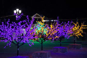 Beautiful glow flower with neon lamp light decorate on tree beside road