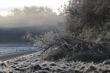Frost in the air