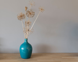 beautiful dried flowers of the onion bulbs 