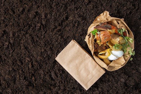 environmental control.Sorting of food waste in the environmental packages.