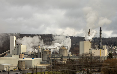 Paper Mill Industrial Plant