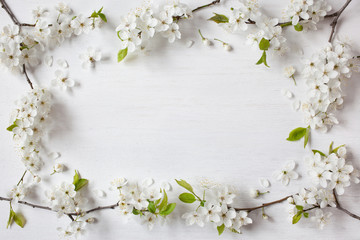 Background with flowering spring branches of plums, cherries